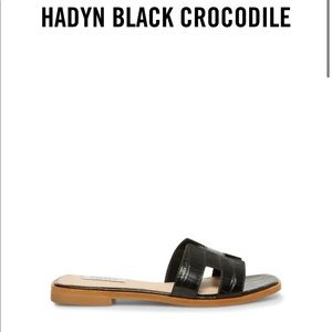 Haydn Black Crocodile- Steve Madden Sandals